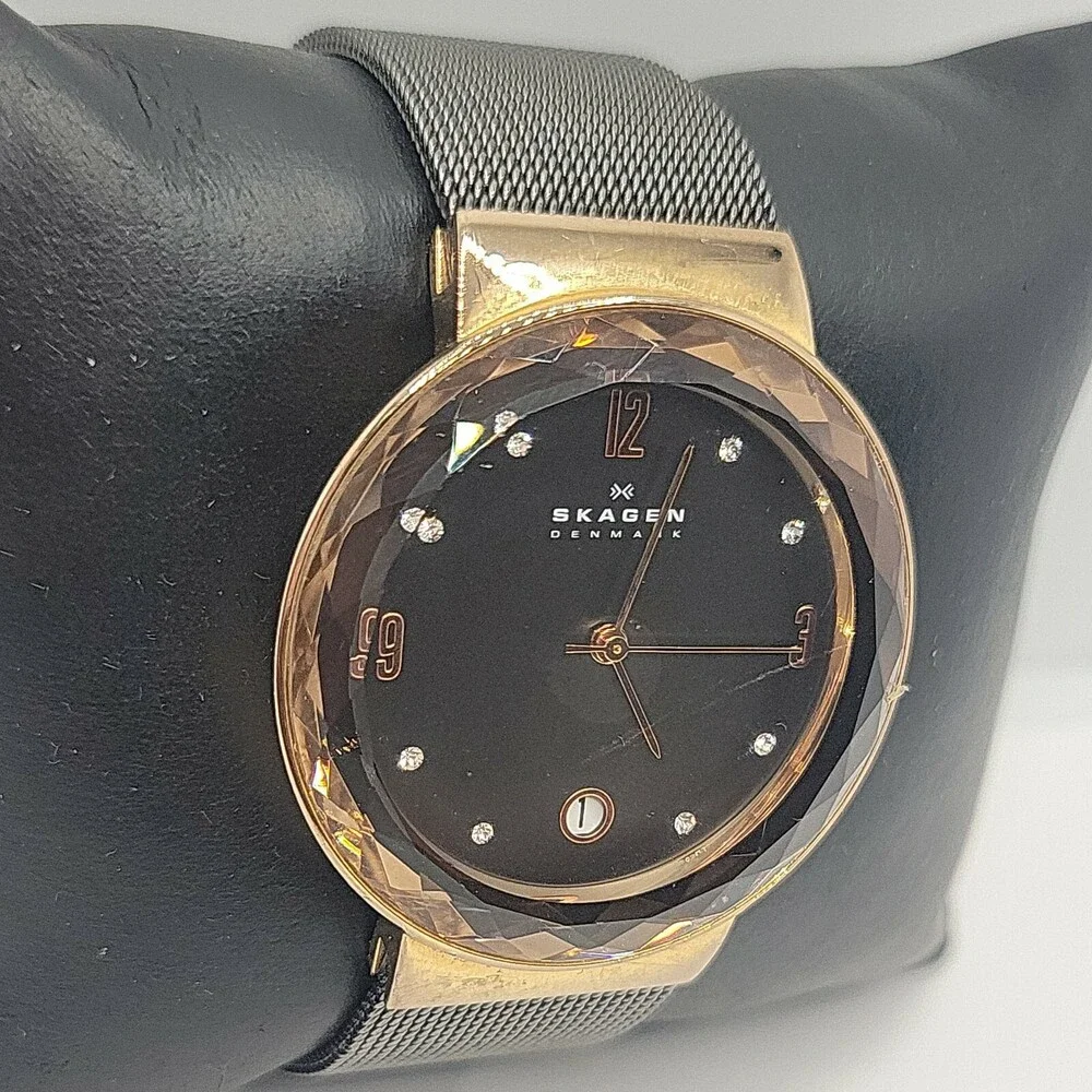 Skagen SKW2120 Women's Stainless Steel Mesh Analog Dial Quartz Wrist Watch AM613